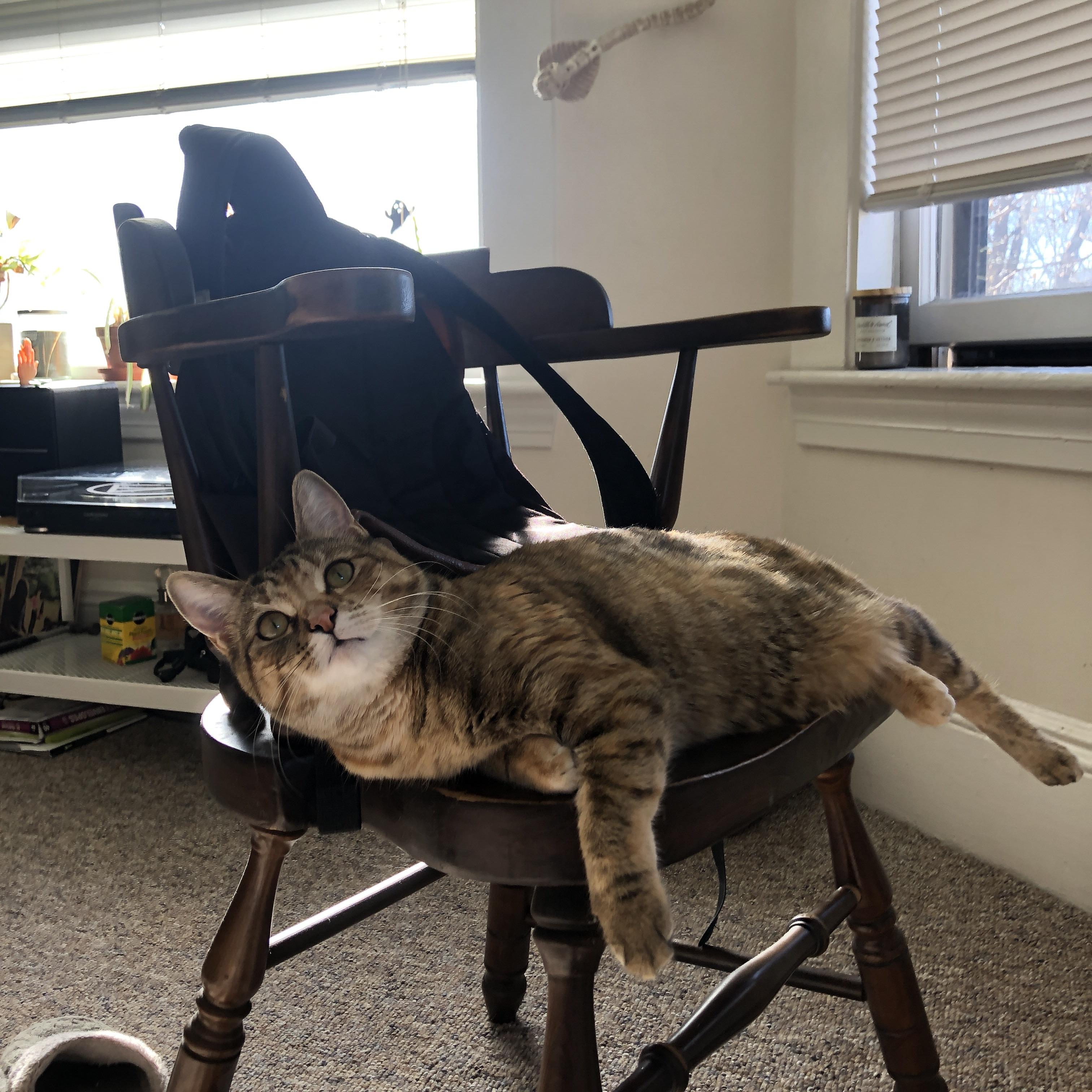 _运动员的慈善事业：用行动传递正能量_，运动员贡献