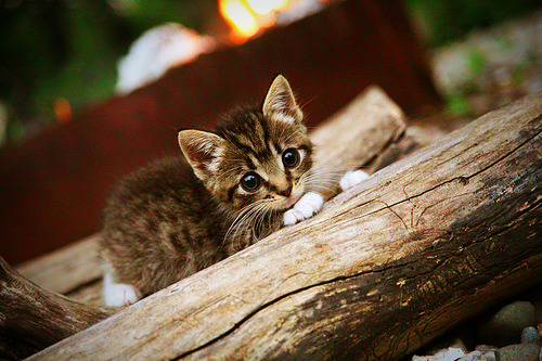 御风而行:风洞测试与空气动力学的奥秘,空气动力实验风洞分为