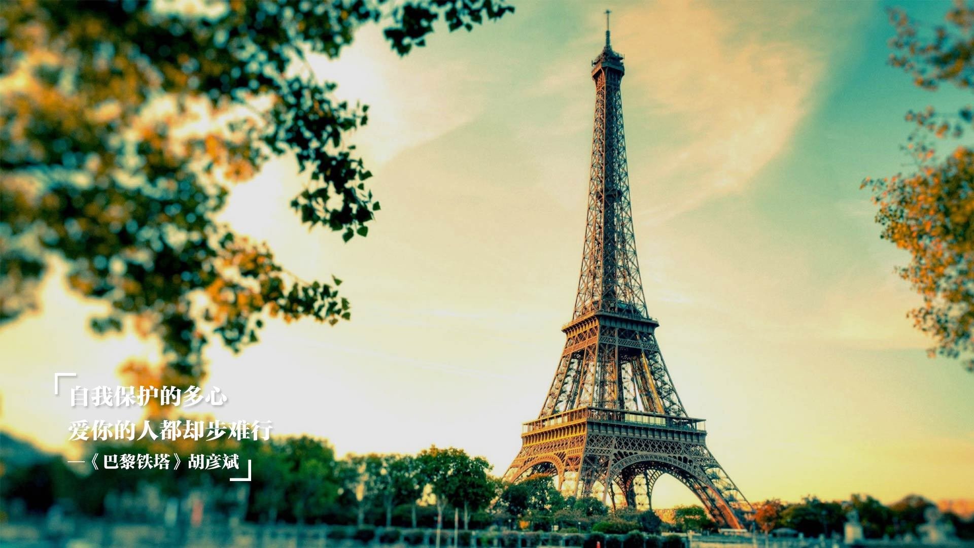 摩洛哥马术协会授予哈立德·阿卜杜拉“年度最佳盛装舞步骑手”称号。