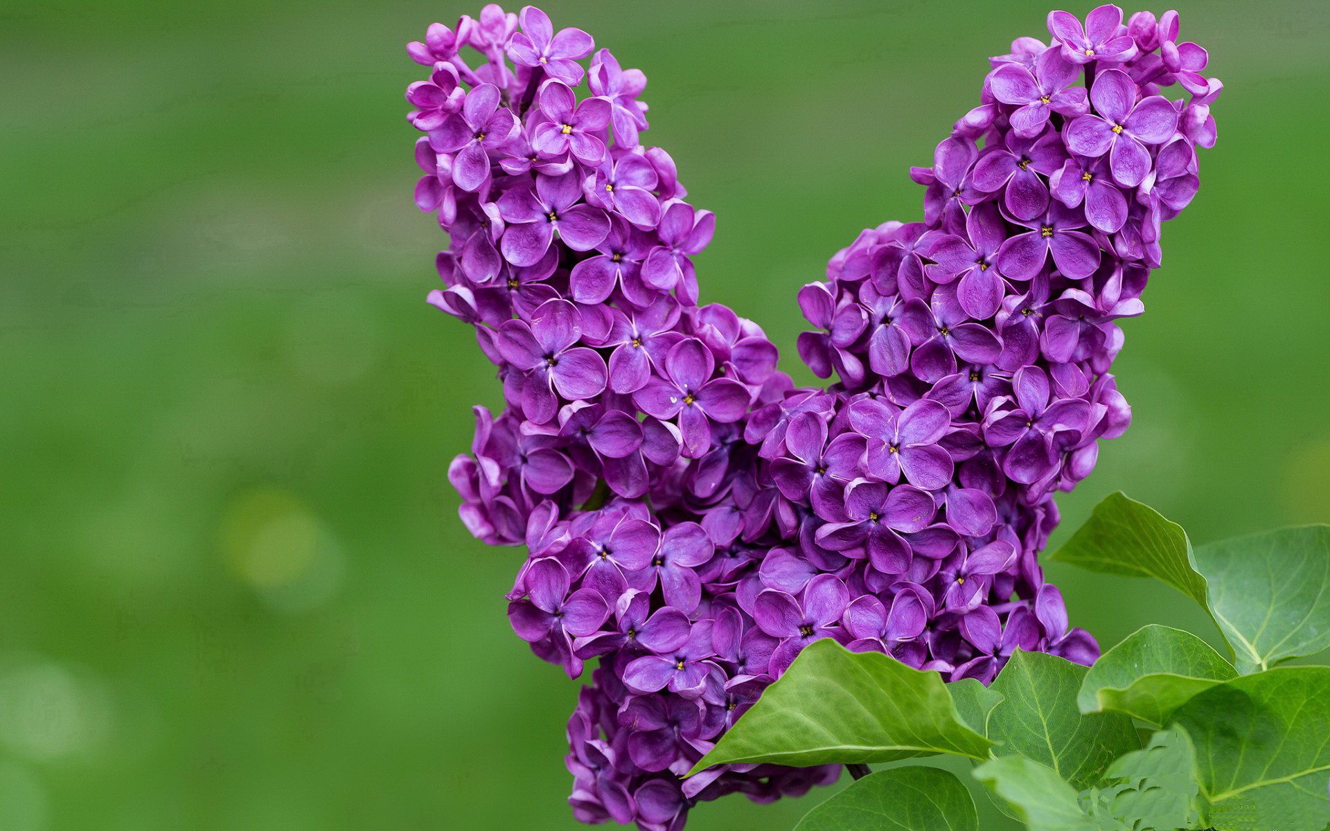 详细阅读:红毯秀:赛事现场的明星嘉宾风采展现,红毯女神是谁 红毯秀:赛事现场的明星嘉宾风采展现,红毯女神是谁