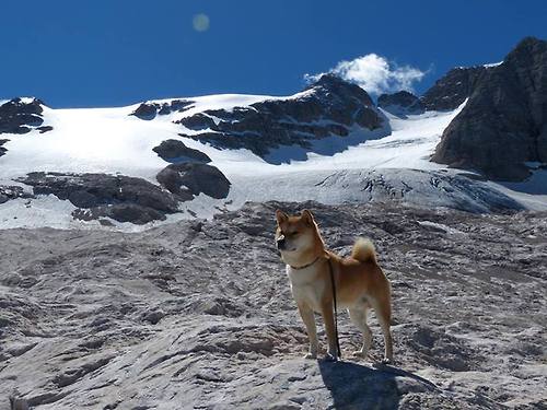 足协推出新赛季激励政策,激发球队战斗力,足协推出新赛季激励政策,激发球队战斗力的句子