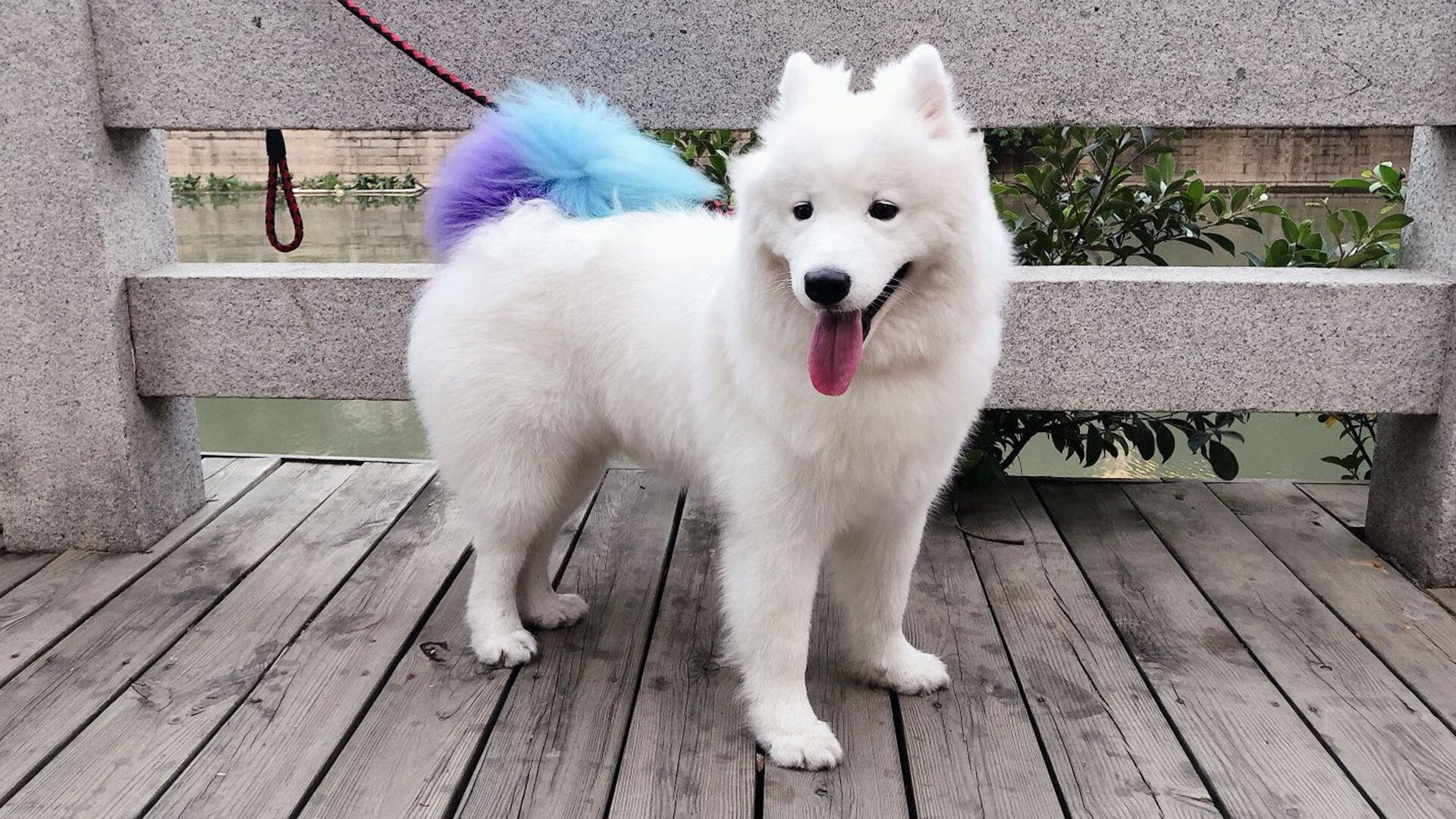 逆风而起:那些用坚韧不拔成就传奇的队伍,逆风执炬