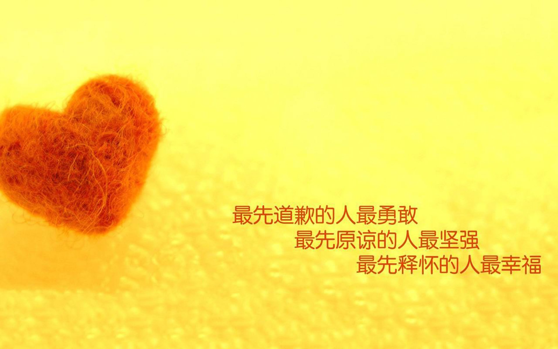 马术障碍赛，优雅骑手的速度较量，马术障碍训练图册