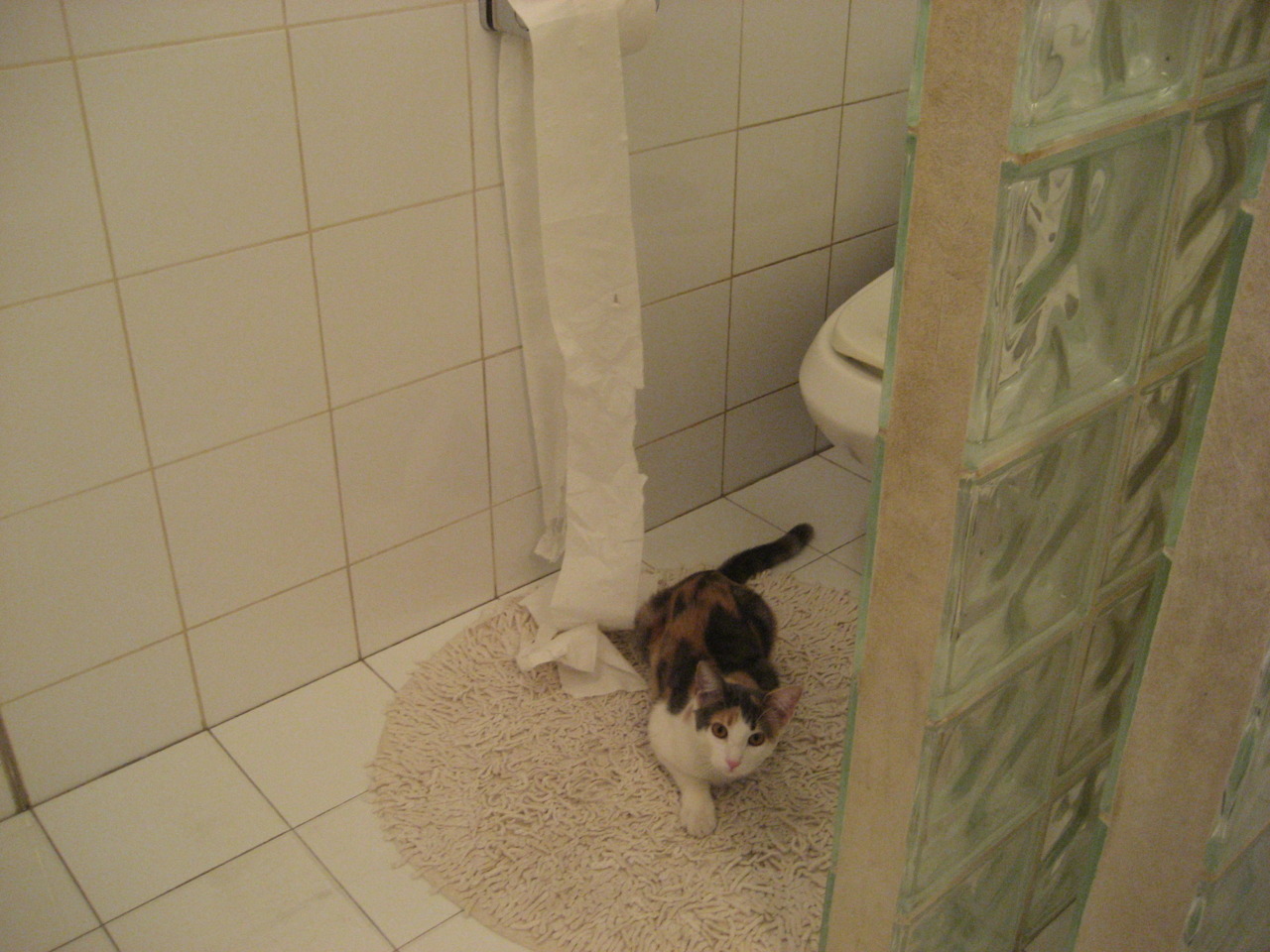 Team Liquid战队纪录片上线，teamliquid战队队标