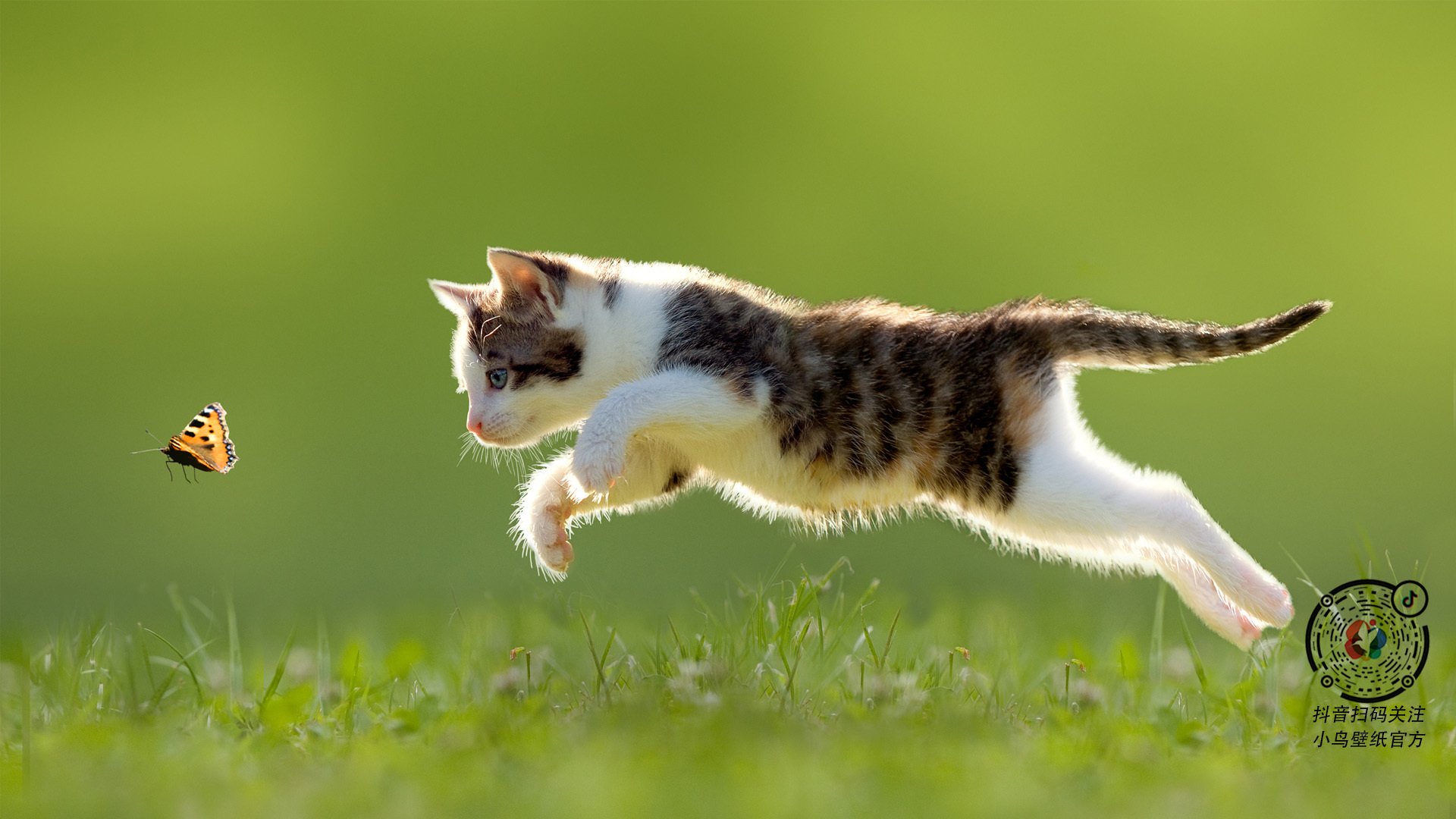 详细阅读:悬念丛生拳击八强淘汰赛突围战,8.8拳击 悬念丛生拳击八强淘汰赛突围战,8.8拳击