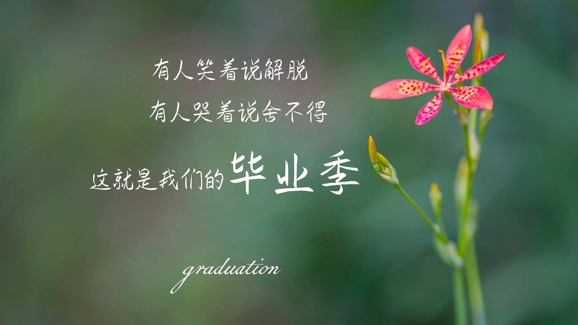 皇马头号射手轮休,球队攻击力明显削弱