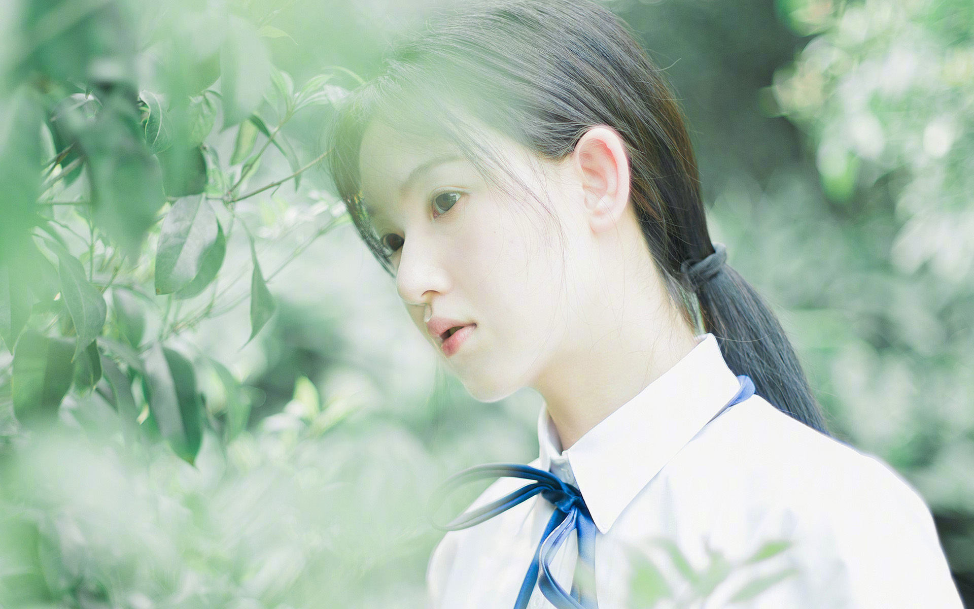 NBA球队战术创新案例分享,nba战术术语