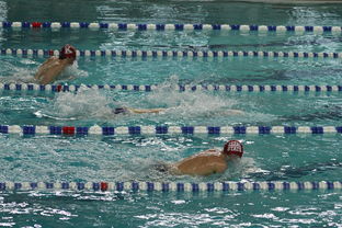 世界短池游泳锦标赛多项世界纪录诞生，第一届世界短池游泳锦标赛