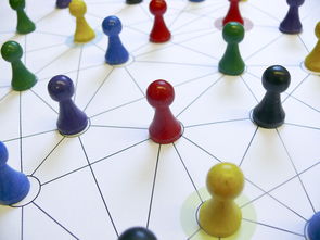 中国篮球青训教练员能力提升路径，篮球青训师的待遇怎么样