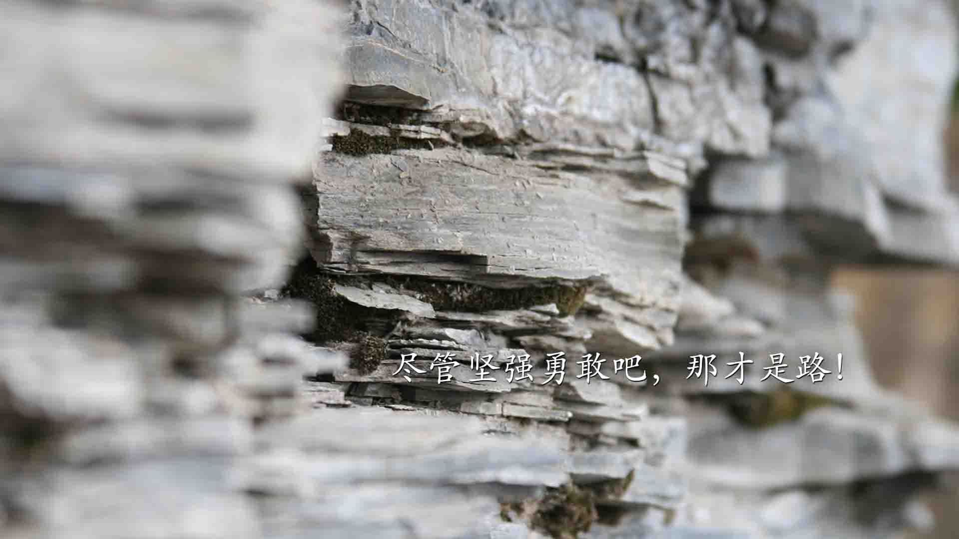 全国青少年足球冠军赛激烈角逐阶段赛事,全国青少年足球选拔赛