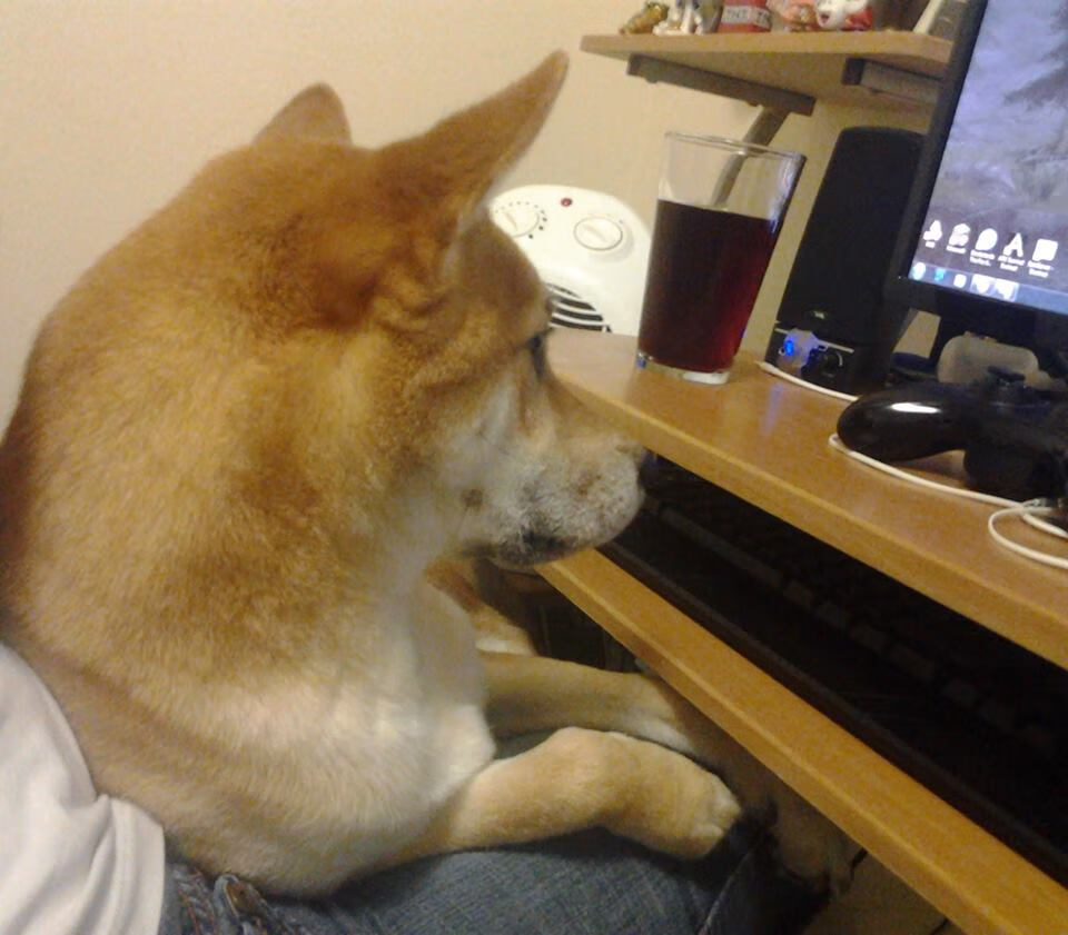 深圳领航队新赛季目标明确剑指前四,深圳队领航者