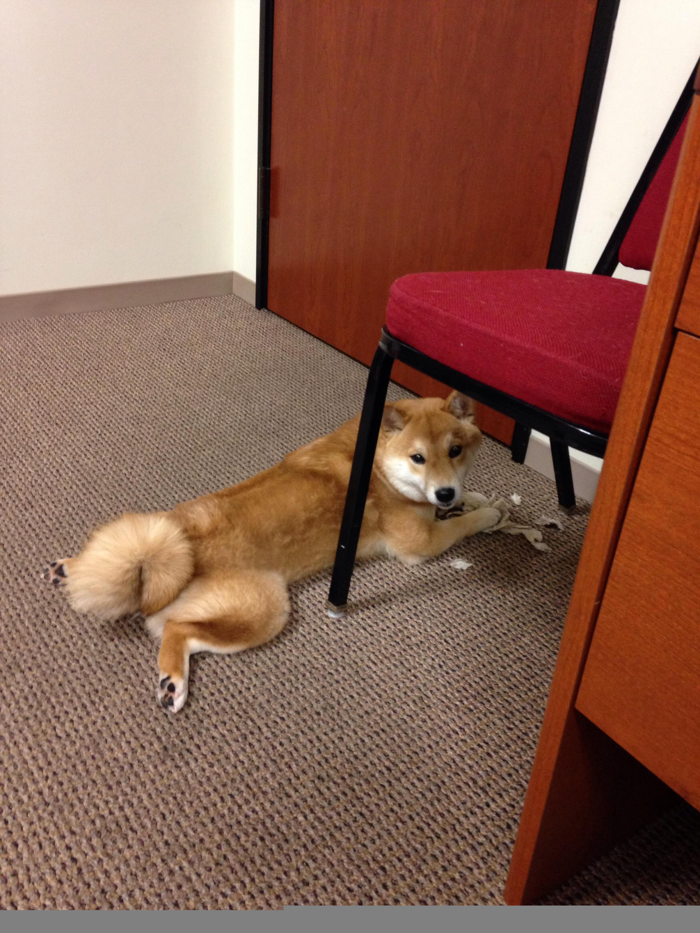 详细阅读:球员在高节奏对抗中如何保持技术动作稳定,球员在高节奏对抗中如何保持技术动作稳定 球员在高节奏对抗中如何保持技术动作稳定,球员在高节奏对抗中如何保持技术动作稳定