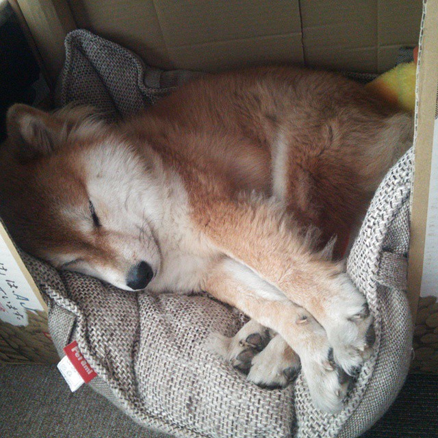 西甲玄妙传球：精彩盘带，助攻不断！，西甲玄妙传球_精彩盘带,助攻不断进球